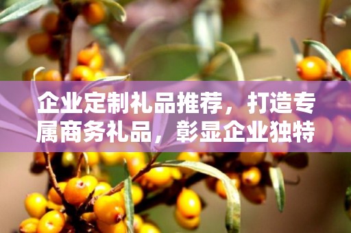 企业定制礼品推荐，打造专属商务礼品，彰显企业独特魅力