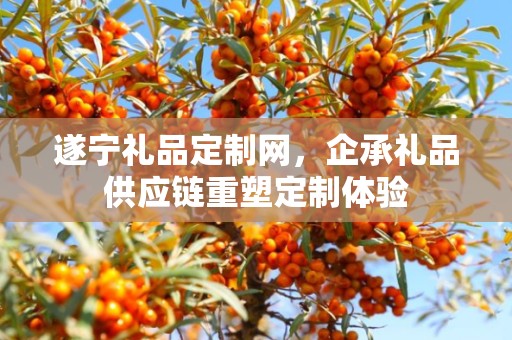 遂宁礼品定制网，企承礼品供应链重塑定制体验