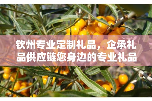 钦州专业定制礼品，企承礼品供应链您身边的专业礼品定制公司