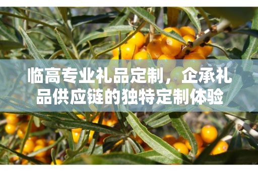 临高专业礼品定制，企承礼品供应链的独特定制体验