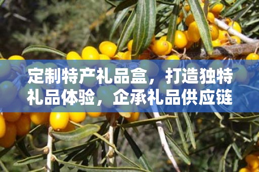 定制特产礼品盒，打造独特礼品体验，企承礼品供应链助力商务之选